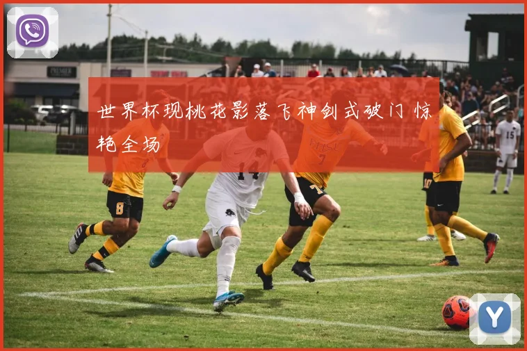 世界杯现桃花影落飞神剑式破门 惊艳全场