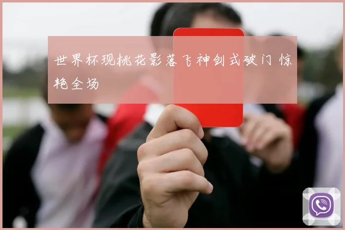 世界杯现桃花影落飞神剑式破门 惊艳全场